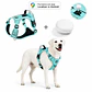 Arnés Reflectante para Perros con Localizador Android - Miniatura 4