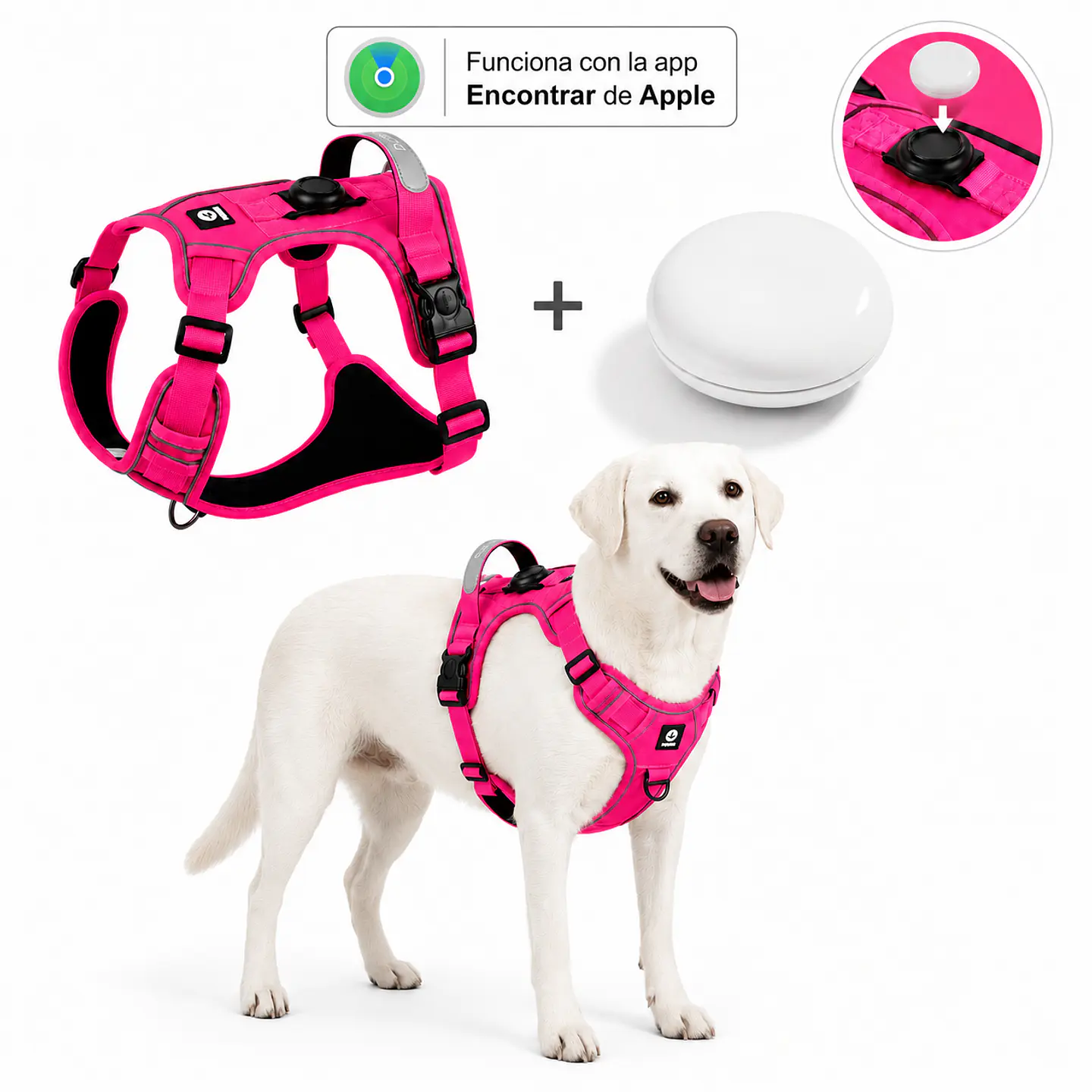 Arnés Reflectante para Perros con Localizador Apple 3