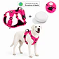 Arnés Reflectante para Perros con Localizador Apple - Miniatura 3