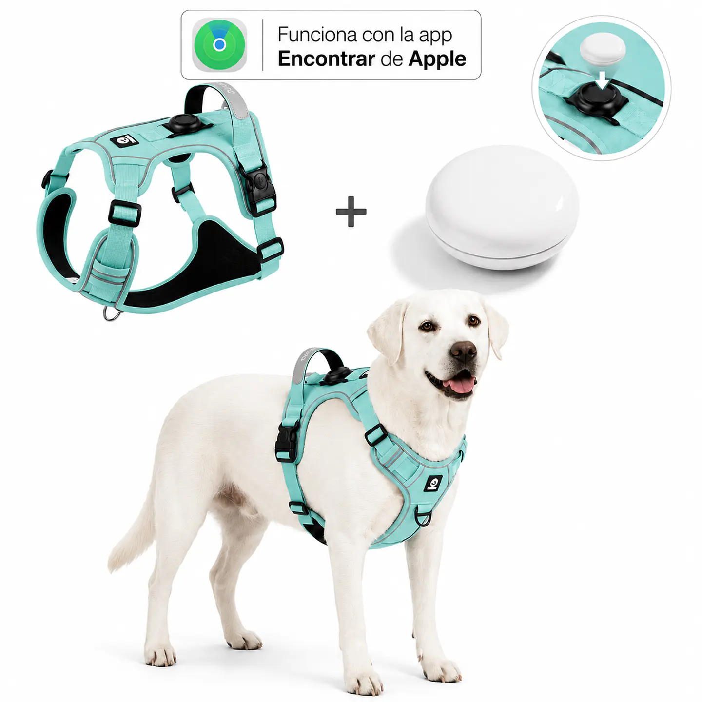 Arnés Reflectante para Perros con Localizador Apple 4
