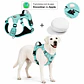 Arnés Reflectante para Perros con Localizador Apple - Miniatura 4