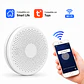 Detector Inteligente de Humo y Monóxido de Carbono WiFi - Miniatura 1