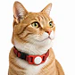 Funda de Silicona para Collar con Localizador compatible con Android - Miniatura 4