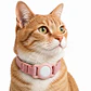 Funda de Silicona para Collar con Localizador Compatible con Apple - Miniatura 2