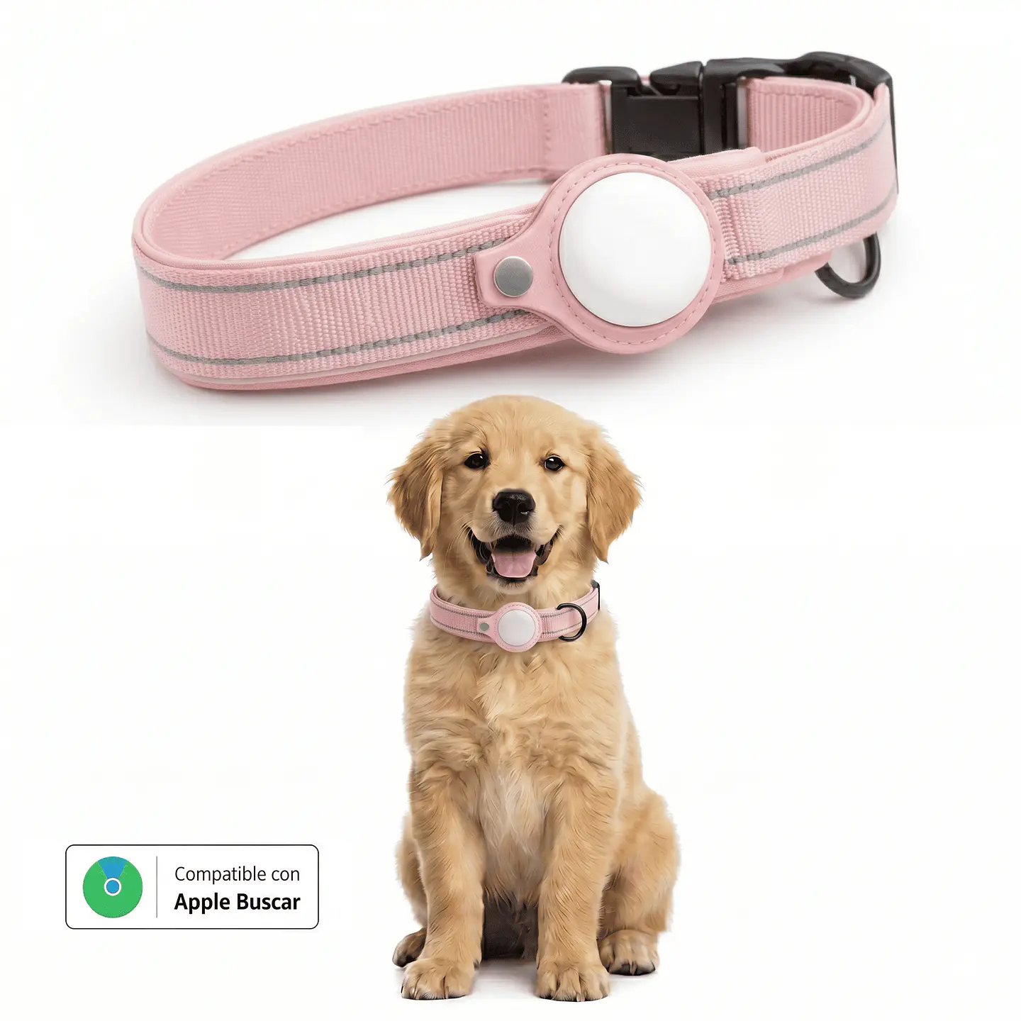 Collar para Perro con Localizador Compatible con Apple 3
