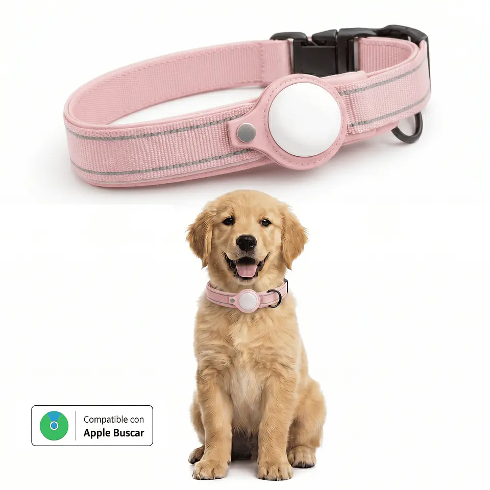 Collar para Perro con Localizador Compatible con Apple 3