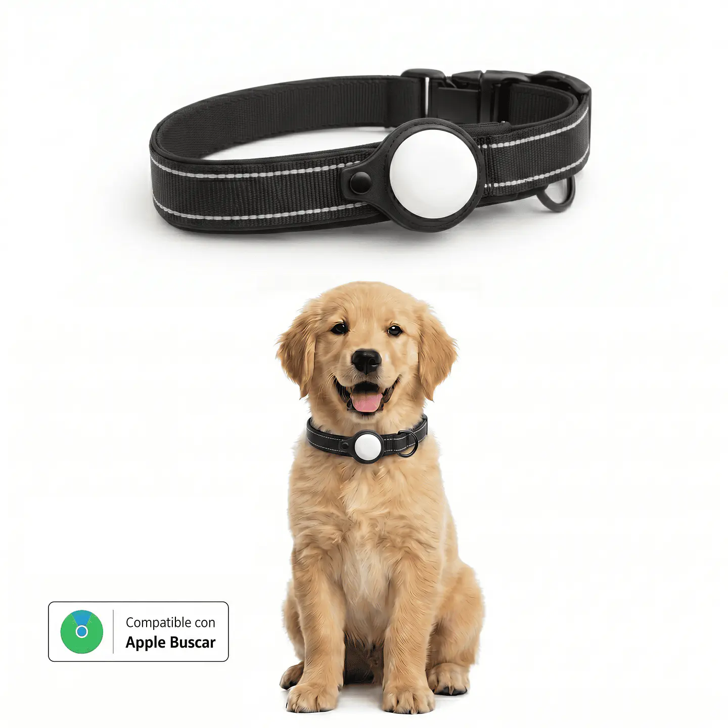 Collar para Perro con Localizador Compatible con Apple 4