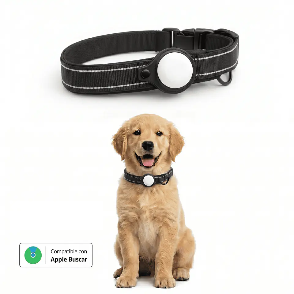 Collar para Perro con Localizador Compatible con Apple 4