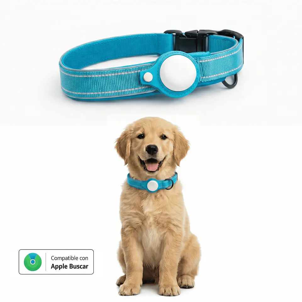 Collar para Perro con Localizador Compatible con Apple 5