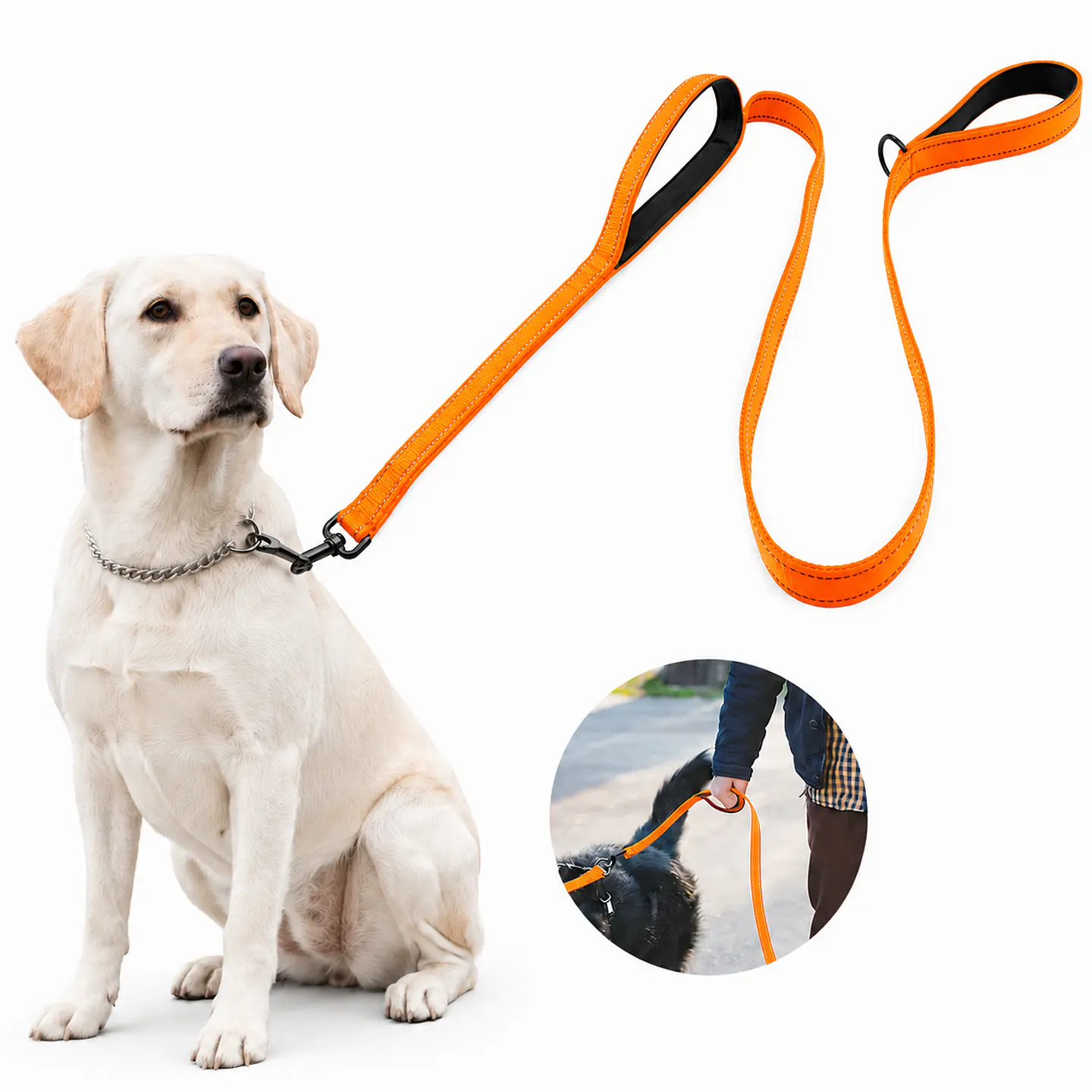 Correa para Collar con Doble Agarre 3