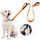 Correa para Collar con Doble Agarre - Miniatura 3