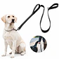 Correa para Collar con Doble Agarre - Miniatura 5