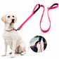 Correa para Collar con Doble Agarre - Miniatura 9