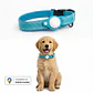 Pack para Perro: Collar + Correa + Localizador de Rastreo Global Android - Miniatura 6