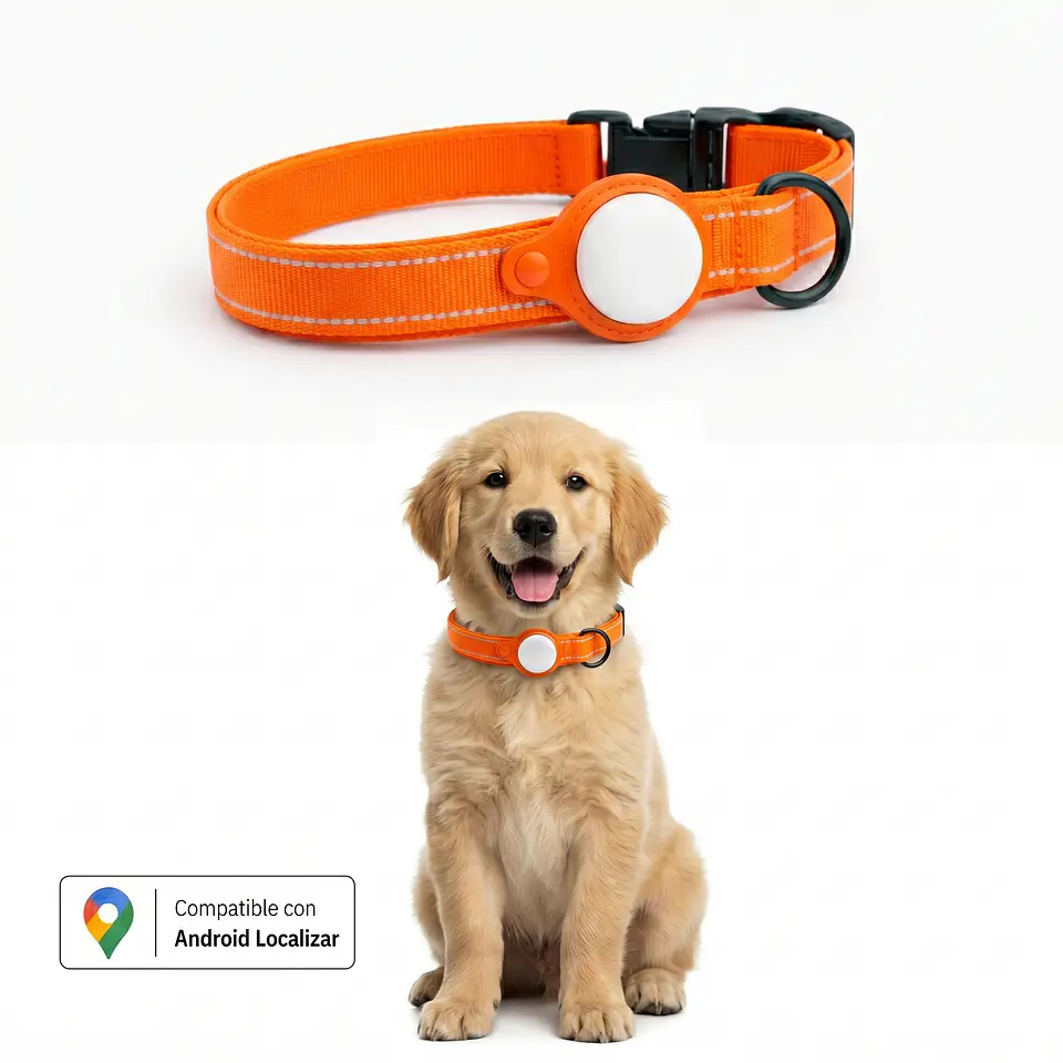 Pack para Perro: Collar + Correa + Localizador de Rastreo Global Android 8