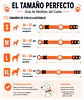 Pack para Perro: Collar + Correa + Localizador de Rastreo Global Android - Miniatura 10
