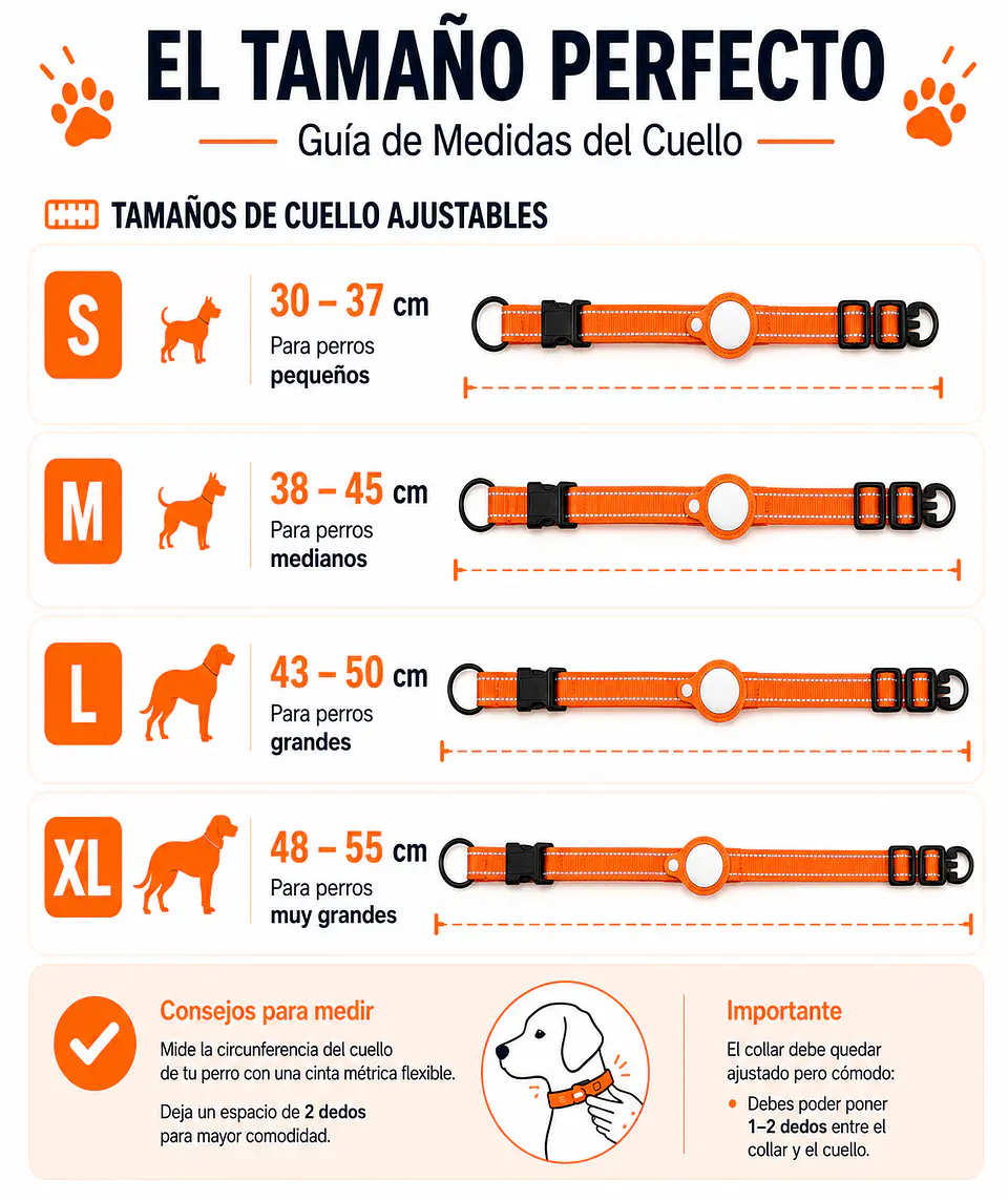Pack para Perro: Collar + Correa + Localizador de Rastreo Global Android 10