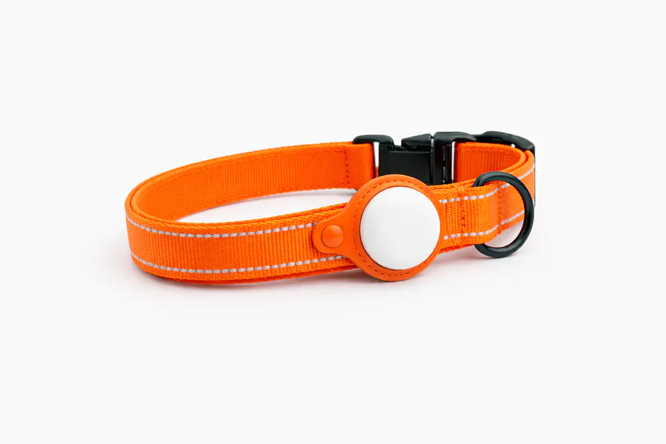 Pack para Perro: Collar + Correa + Localizador de Rastreo Global Android 11