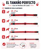 Pack para Perro: Collar + Correa + Localizador de Rastreo Global Android - Miniatura 14