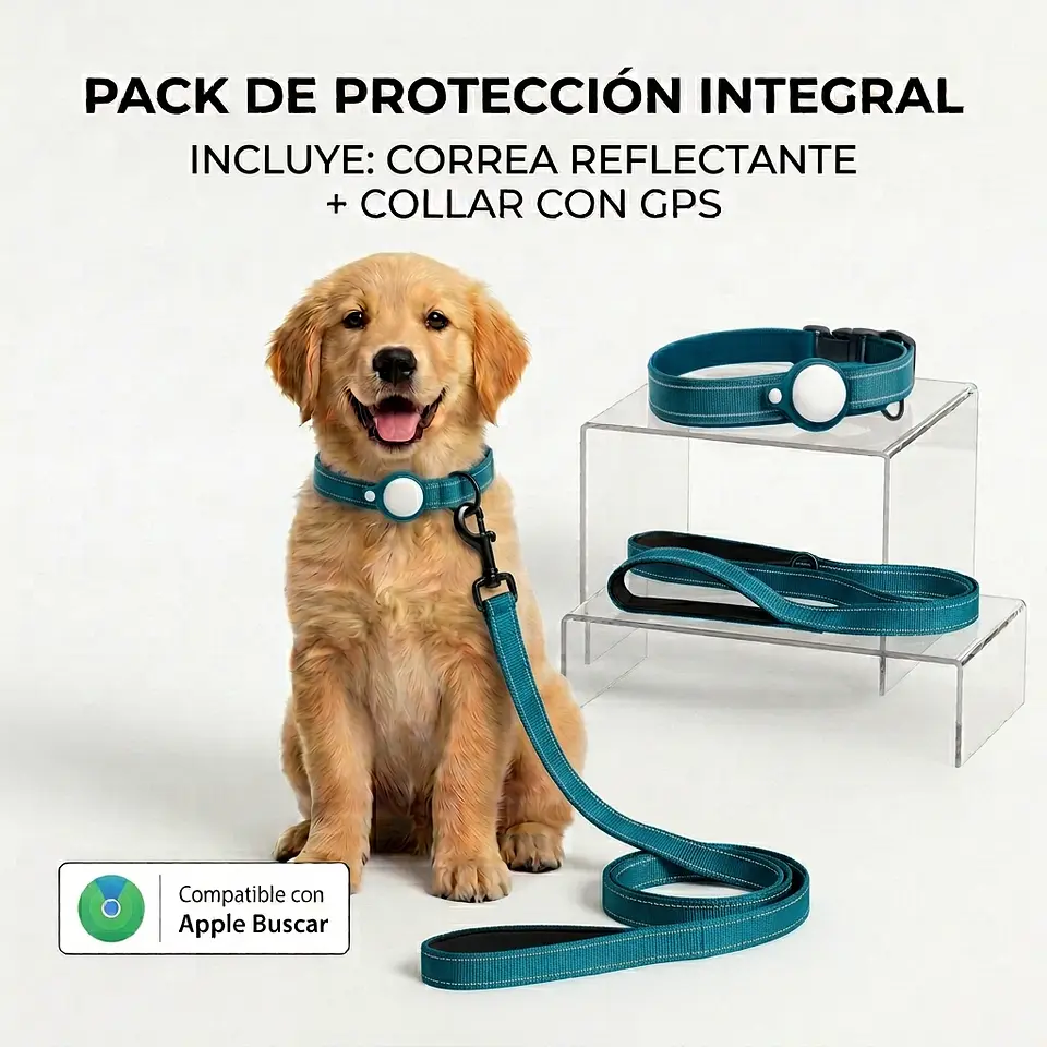 Pack para Perro: Collar + Correa + Localizador de Rastreo Global Apple 1