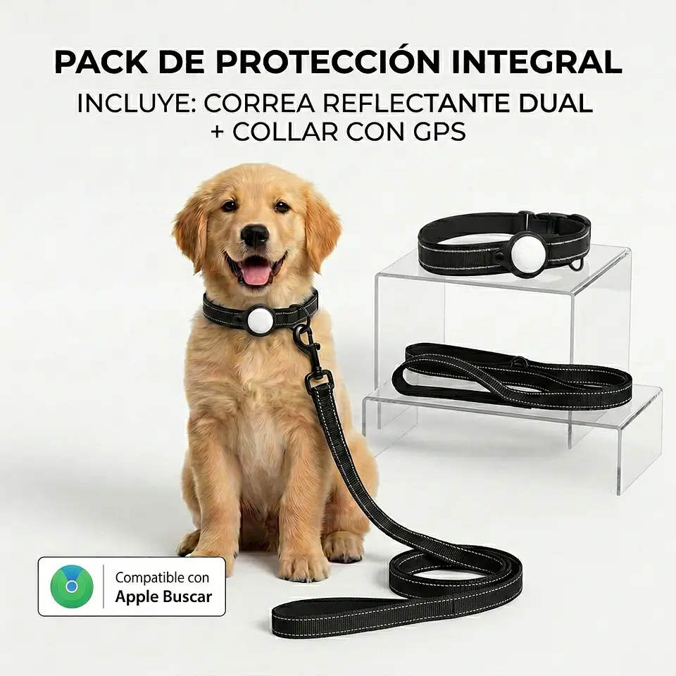 Pack para Perro: Collar + Correa + Localizador de Rastreo Global Apple 2