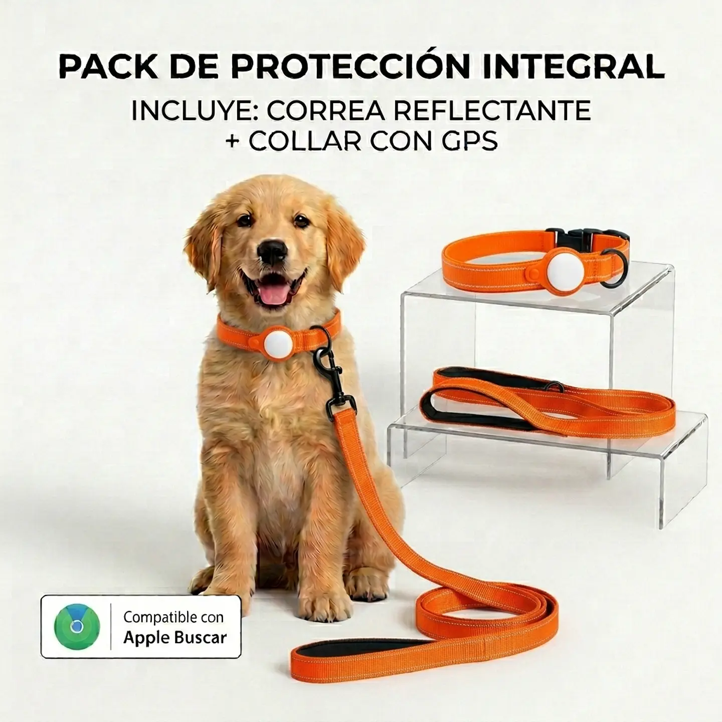 Pack para Perro: Collar + Correa + Localizador de Rastreo Global Apple 3