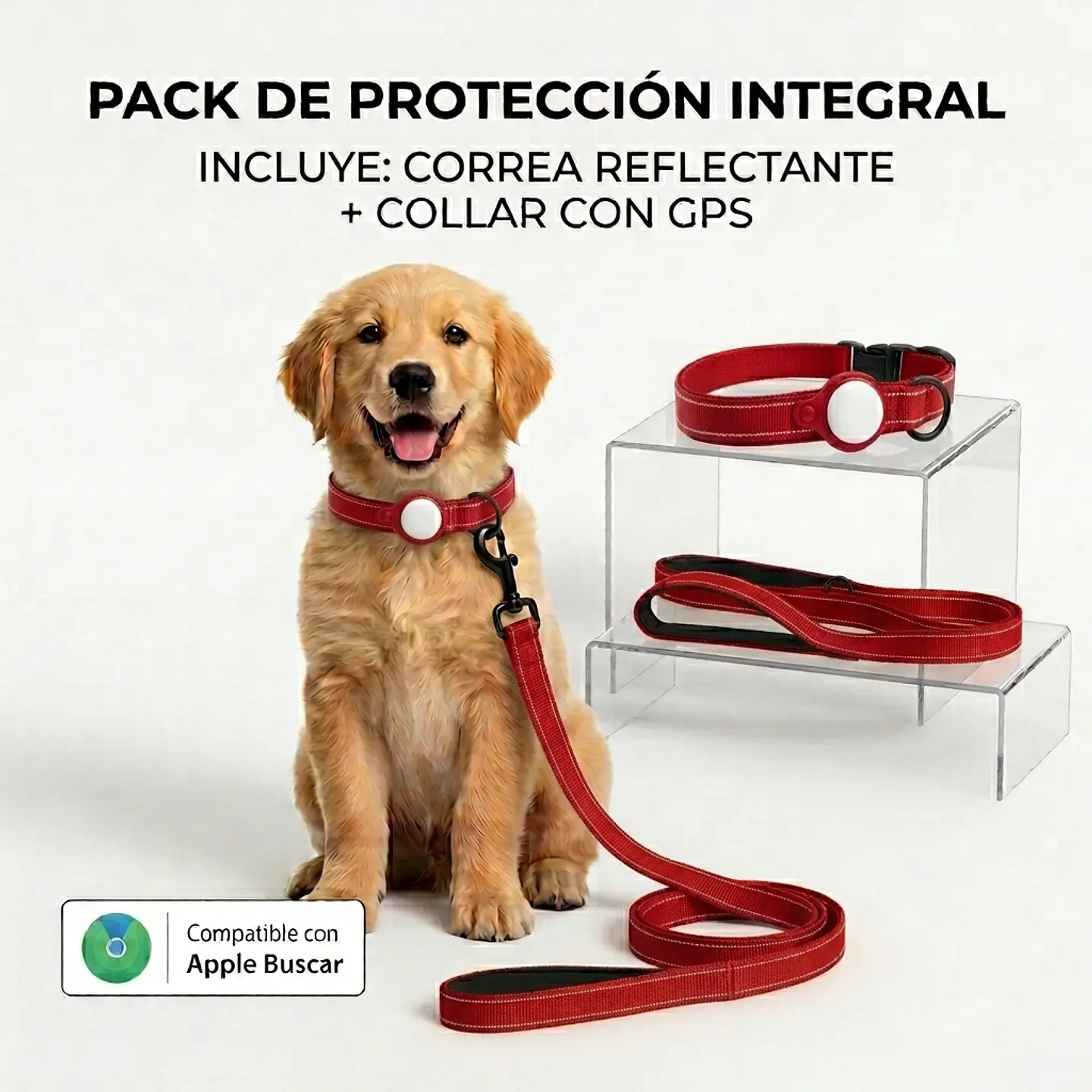 Pack para Perro: Collar + Correa + Localizador de Rastreo Global Apple 4