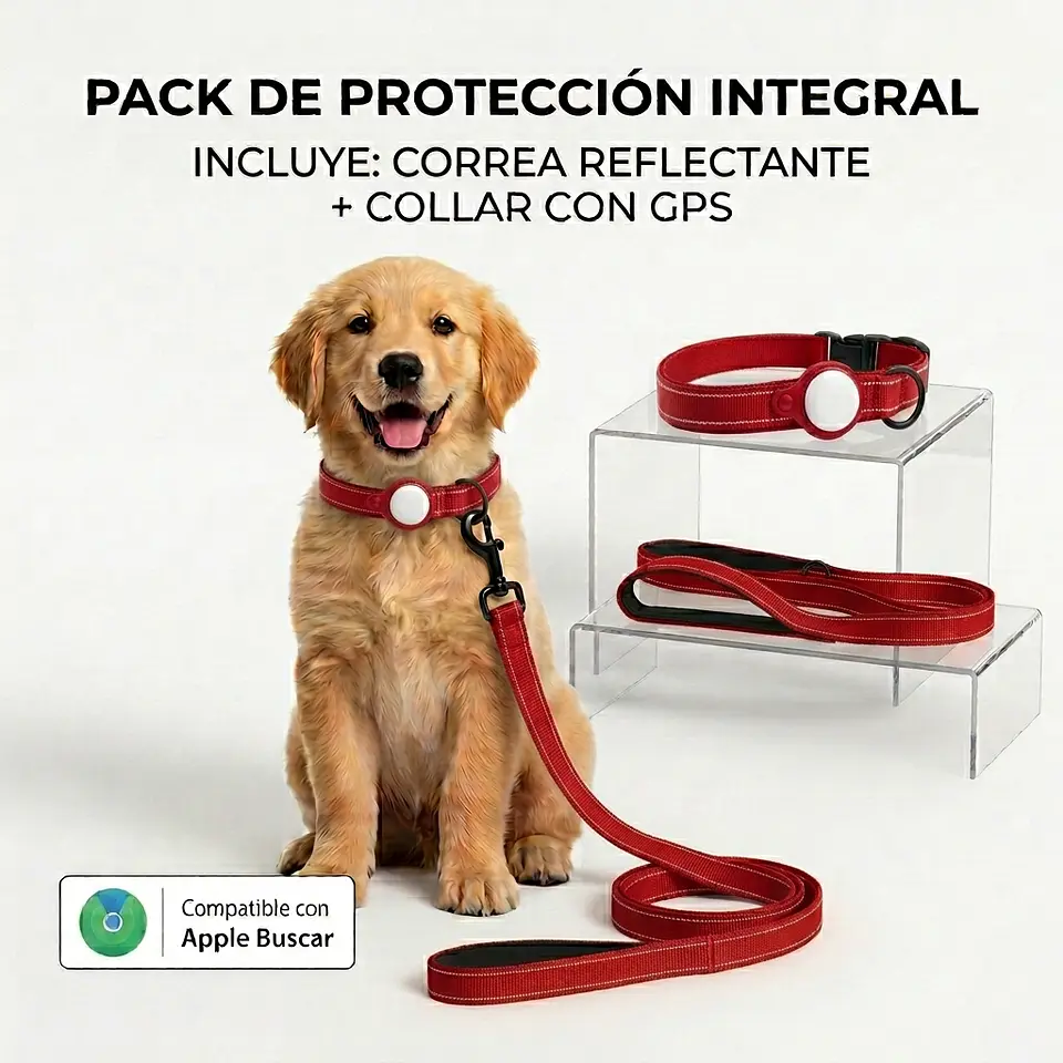 Pack para Perro: Collar + Correa + Localizador de Rastreo Global Apple 4