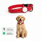 Collar para Perro con Localizador de Rastreo Global Dual - Miniatura 1