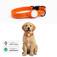 Collar para Perro con Localizador de Rastreo Global Dual - Miniatura 3