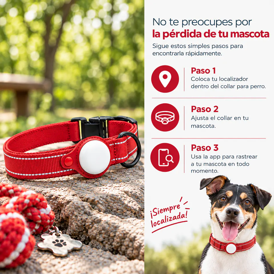 Collar para Perro con Localizador Compatible con Apple 2