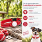 Collar para Perro con Localizador de Rastreo Global Android - Miniatura 2
