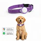 Collar para Perro con Localizador de Rastreo Global Dual - Miniatura 5