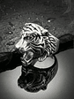 Anel Tiger Head - Thumbnail 1