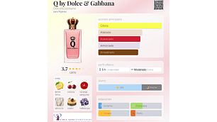 Q TESTER 100 ML EDP DOLCE & GABBANA