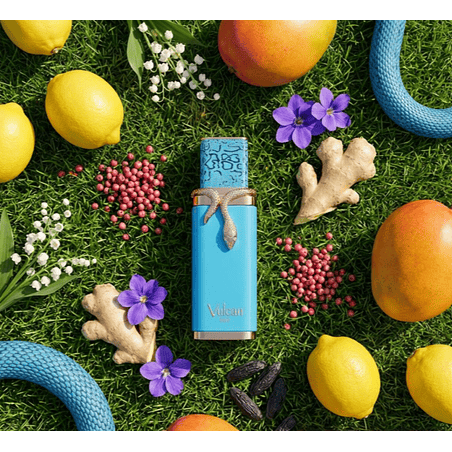 VULCAN FEU 100 ML EDP FRENCH AVENUE  3