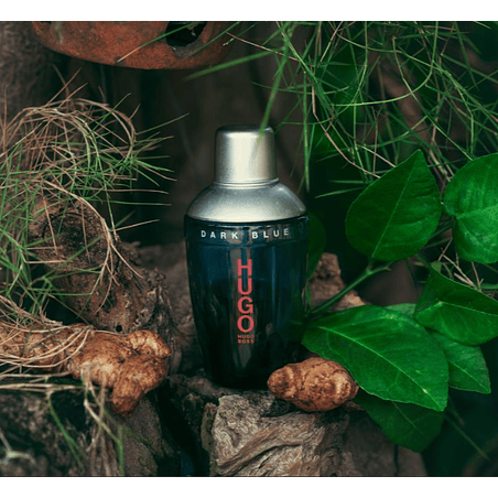 DARK BLUE 75 ML EDT HUGO BOSS 3