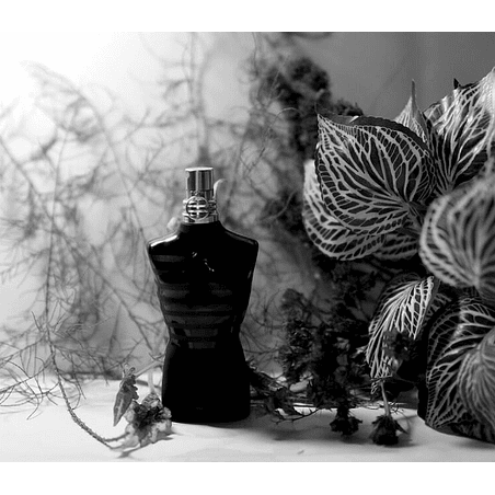 LE MALE LE PARFUM INTENSE 125 ML EDP JEAN PAUL GAULTIER 3