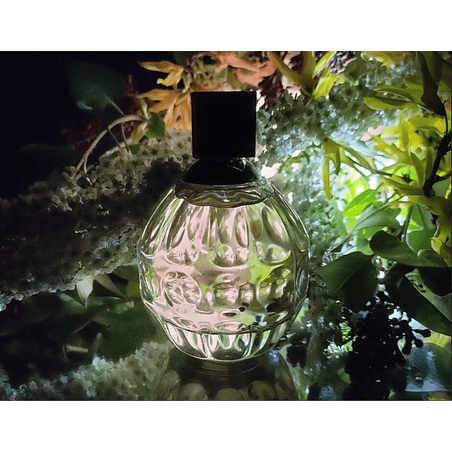 JIMMY CHOO TESTER 100 ML EDT SIN TAPA JIMMY CHOO 4