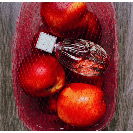 FLORAL TESTER 90 ML EDT SIN TAPA JIMMY CHOO 4