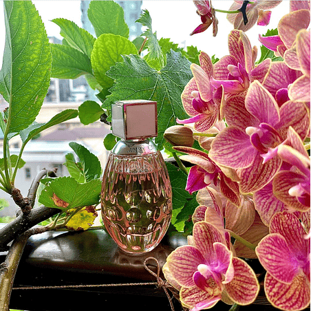 JIMMY CHOO L'EAU 90 ML EDT JIMMY CHOO 3