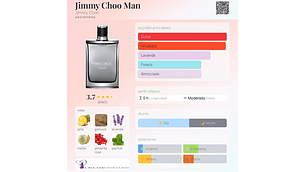 JIMMY CHOO MAN TESTER 100 ML EDT CON TAPA JIMMY CHOO