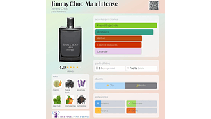JIMMY CHOO MAN INTENSE 100 ML EDT JIMMY CHOO