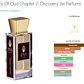 PARFUMS STORY OF OUD CHAPTER 2: DISCOVERY 100 ML EDP JIVI - Miniatura 2