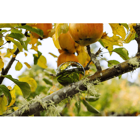 DKNY BE DELICIOUS 100 ML EDP DONNA KARAN 5