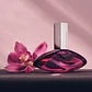 EUPHORIA 100 ML EDP CALVIN KLEIN - Miniatura 4