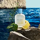 LIGHT BLUE POUR HOMME TESTER 100 ML EDT RECARGARBLE / REFILLABLE DOLCE & GABBANA  - Miniatura 3