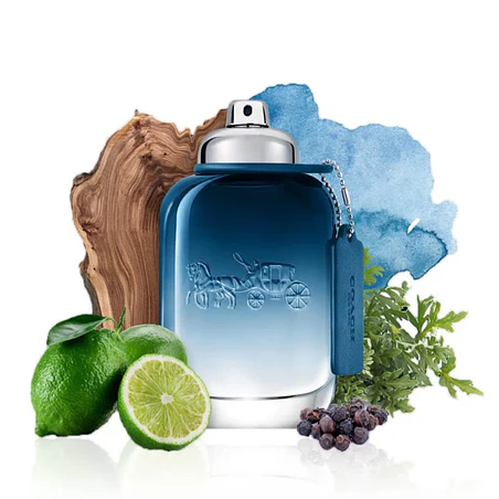 COACH MAN BLUE 100 ML EDT COACH  3