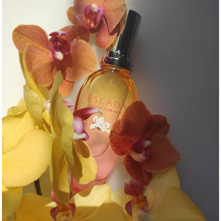 BRISA CUBANA 100 ML EDT ESCADA  3