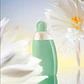 EDEN TESTER 50 ML EDP CACHAREL  - Miniatura 3